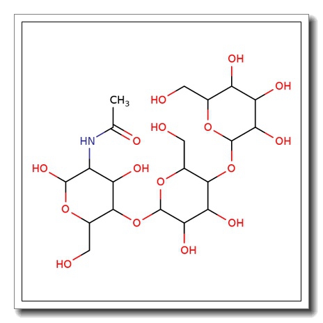 P1-Antigen