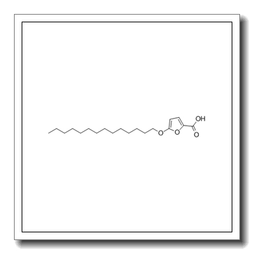 5-(tetradecyloxy)-2-furoic acid CAS 54857-86-2