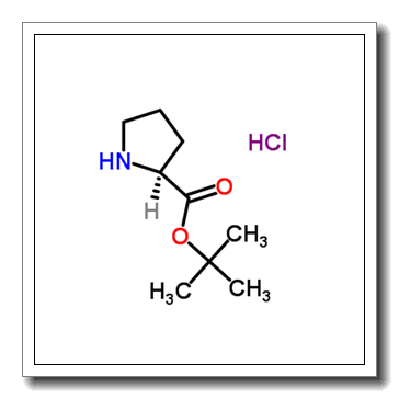 tert-Butyl L-prolinate hydrochloride CAS 5497-76-7