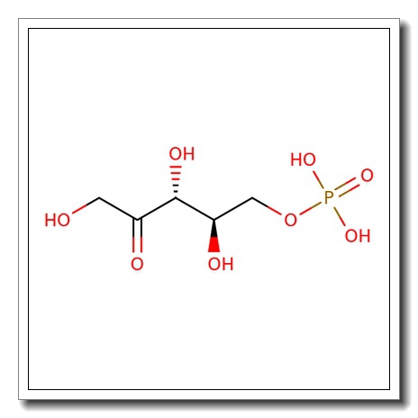 D-Ribulose, 0.5-1.0 mol/L aqueous solution