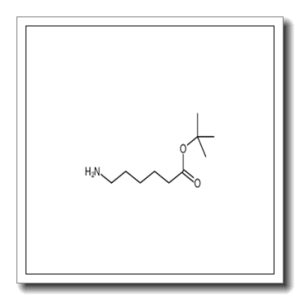 tert-butyl 6-aminohexanoate
