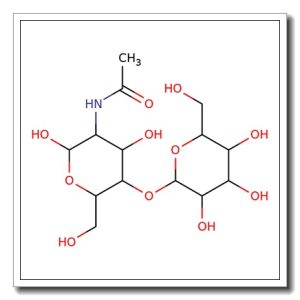 2-Acetamido-2-deoxy-4-O-(β-D-mannopyranosyl)-D-glucopyranose