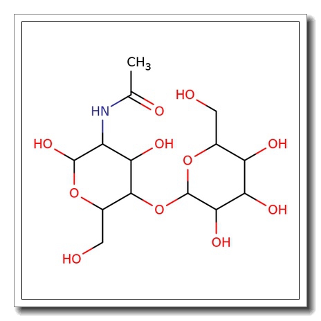 2-Acetamido-2-deoxy-4-O-(β-D-mannopyranosyl)-D-glucopyranose
