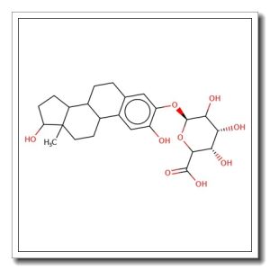 2-Hydroxyestradiol 3-O-b-D-glucuronide