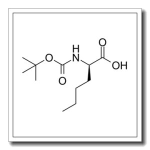 叔丁氧羰酰基D-正亮氨酸