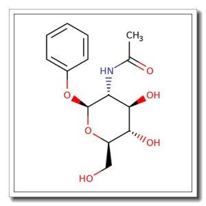 Phenyl 2-acetamido-2-deoxy-β-D-glucopyranoside