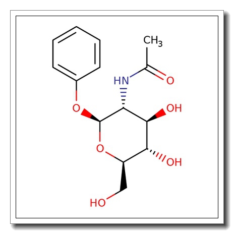 Phenyl 2-acetamido-2-deoxy-β-D-glucopyranoside