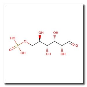 D-Glucose 6-phosphate, monosodium salt