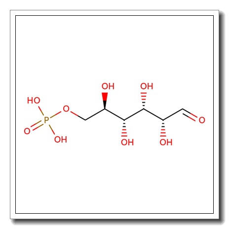 D-Glucose 6-phosphate, monosodium salt