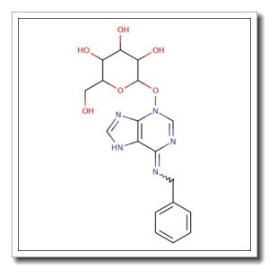 N6-Benzyladenine-3-glucoside