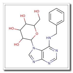 N6-Benzyladenine-7-glucoside