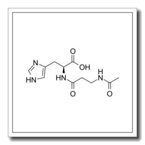 N-乙酰肌肽