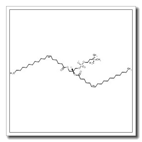 1,2-di-[(6Z)-octadecenoyl]-sn-glycero-3-phosphocholine
