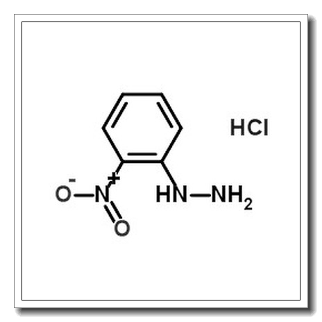 2-硝基苯肼盐酸盐
