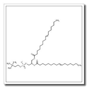 2,3-Bis[(9E)-9-hexadecenoyloxy]propyl 2-(trimethylammonio)ethyl phosphate