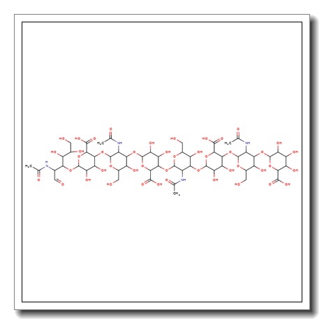 Hyaluronate octasaccharide
