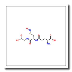 N-(N-L-γ-谷氨酰基-S-亚硝基-L-半胱氨酰—-甘氨酸