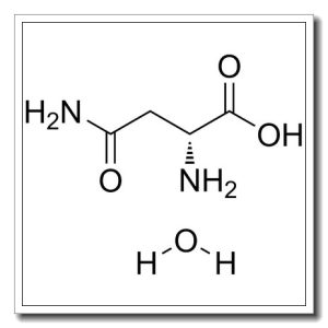 D-天冬酰胺一水物