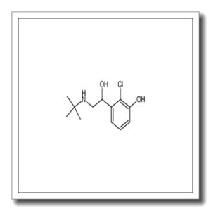 2-chloro-3-hydroxy-α-(tert-butylaminomethyl)-benzylalcohol