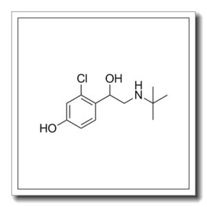 2-氯-α-[[(1,1-二甲基乙基)氨基]甲基]-4-羟基苯甲醇