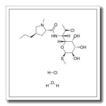 克林霉素盐酸盐一水合物