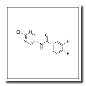 ICA-069673