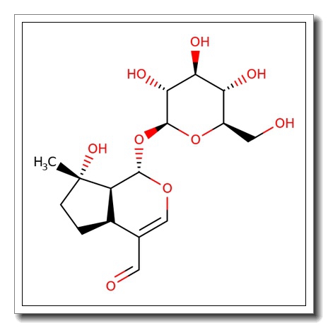 Ixoroside
