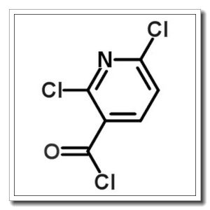 2,6-二氯吡啶-3-羰酰氯
