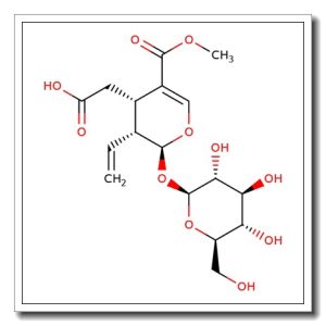 Secoxyloganin