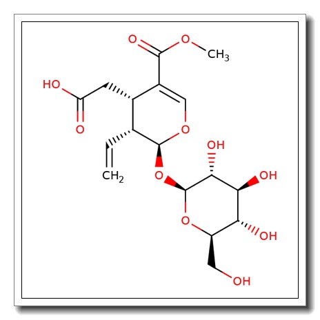 Secoxyloganin