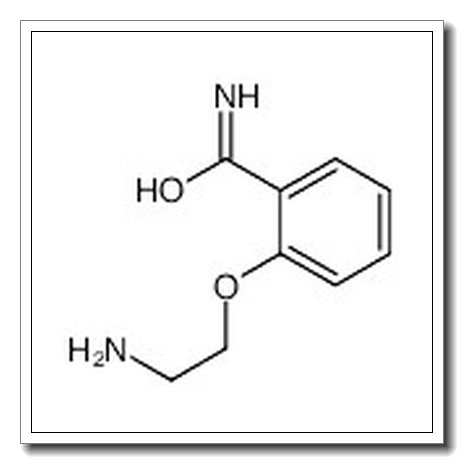 2-(2-氨基乙氧基)苯甲酰胺