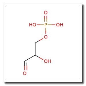 DL-myo-Inositol-1-phosphate
