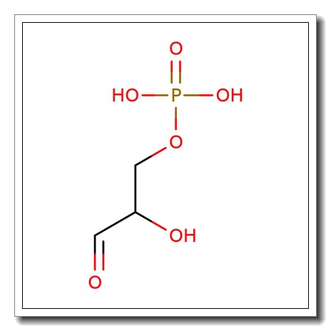 DL-myo-Inositol-1-phosphate