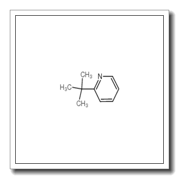 2-tert-butylpyridine