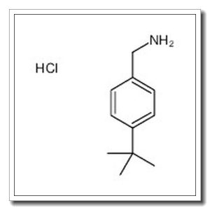 4-叔丁基苄胺盐酸盐