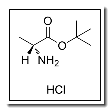 D-Alanine tert-butyl ester hydrochloride CAS 59531-86-1