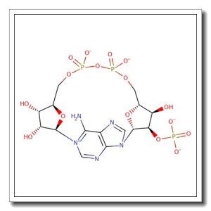 2′-Phospho-cyclic ADP-ribose