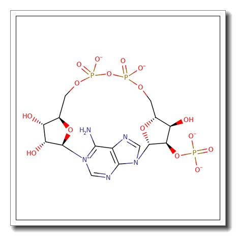 2′-Phospho-cyclic ADP-ribose