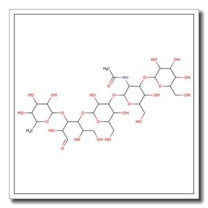 Lacto-N-fucopentaose V