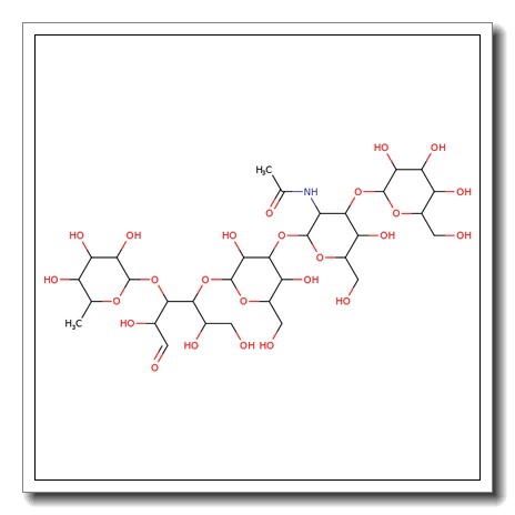 Lacto-N-fucopentaose V