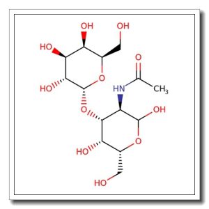2-Acetamido-2-deoxy-3-O-(a-D-galactopyranosyl)-D-galactopyranose