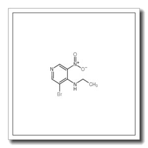 (3-溴-5-硝基-吡啶-4-基)-乙基-胺