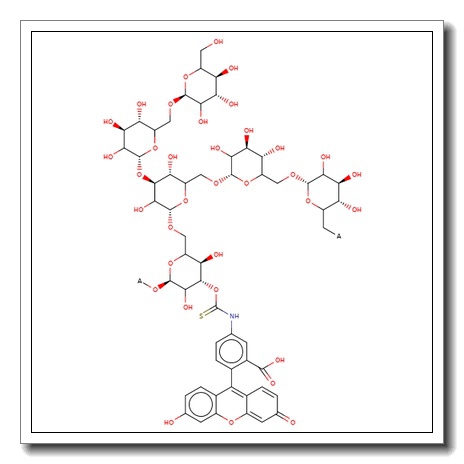 Fluorescein isothiocyanate-dextran – Average MW 20,000