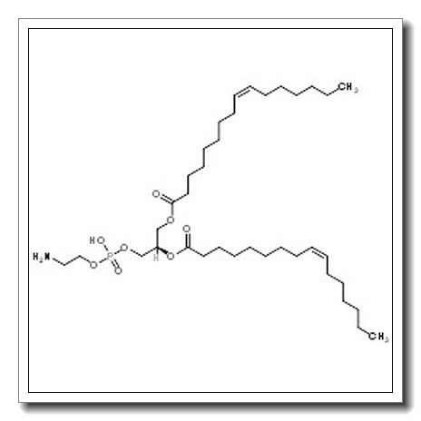 (2R)-3-{[(2-Aminoethoxy)(hydroxy)phosphoryl]oxy}-2-[(9Z)-9-hexadecenoyloxy]propyl (9Z)-9-hexadecenoate CAS 61599-23-3 