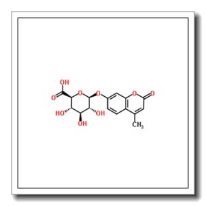 4-甲基伞型酮-beta-D-葡糖苷酸