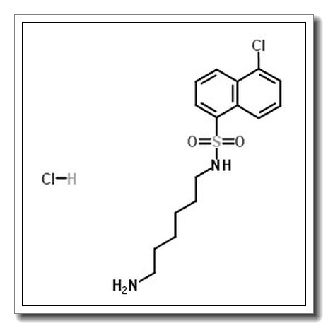 N-(6-aminohexyl)-5-chloronaphthalene-1-sulfonamide,hydrochloride CAS 61714-27-0 