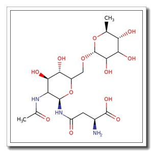 N-[2-Acetamido-2-deoxy-6-O-(a-L-fucopyranosyl)-D-glucopyranosyl]-L-asparagine