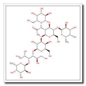 Lacto-N-difucohexaose II