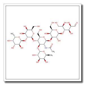 Lewis Y hexasaccharide