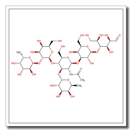 Lewis Y hexasaccharide